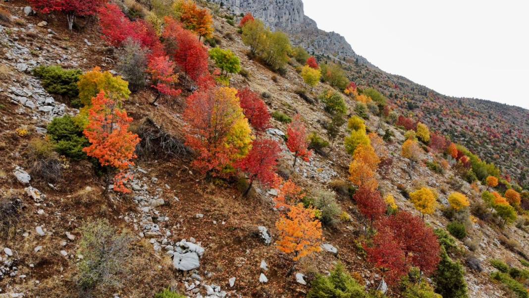 Konya’nın zirvelerinde sonbahar şöleni 10